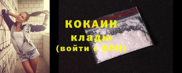 прущие грибы Армянск